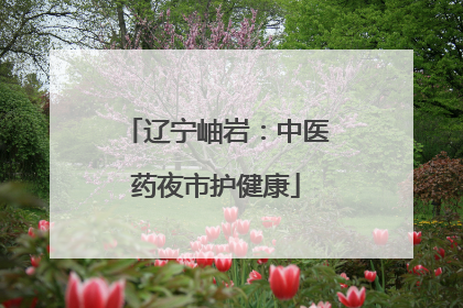 辽宁岫岩：中医药夜市护健康